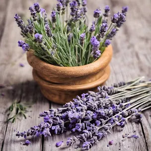 Lavender Body Wash